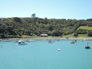 IMG-20141109-WA0030