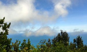 IMG-20141207-WA0003
