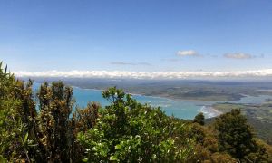 IMG-20141207-WA0008